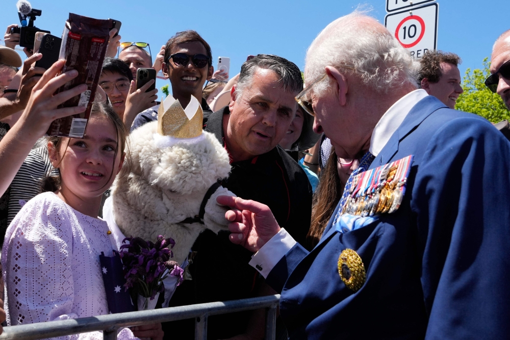 Britain's King Charles III reacts as he is introduced to an alpaca named Hephner during a walkabout outside the Australian War Memorial in Canberra on October 21, 2024. — Mark Baker/Pool/AFP pic