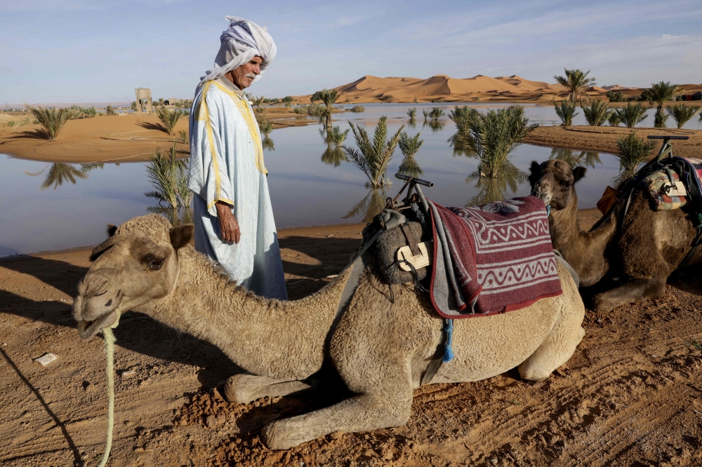 A man stands next to his camels on the shores of Yasmina lake, a seasonal lake in the village of Merzouga in the Sahara desert in south-eastern Morocco on October 20, 2024. — AFP pic