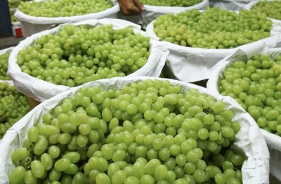 Ministry to investigate reports of chemical residues in imported ‘Shine Muscat’ grapes