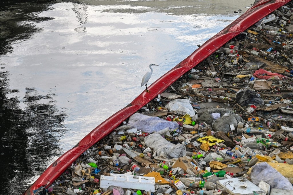 This photo taken on April 1, 2024 shows an egret bird perched on a trash trap along a river in Manila. Long one of the world’s top sources of ocean plastic, the Philippines is hoping new legislation requiring big companies to pay for waste solutions will help clean up its act. — AFP pic