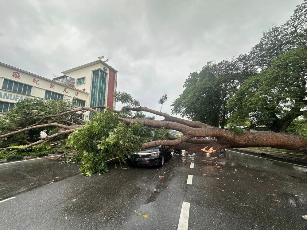 A file photograph shows the Fire and Rescue Department clearing a fallen tree in Butterworth. — Picture from Facebook/Balai Bomba Dan Penyelamat Butterworth