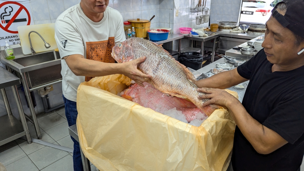 Showing off the fresh catch of the day, a snapper from Sabah at Xin Teochew Seafood Porridge & Noodle. — Picture by Ethan Lau