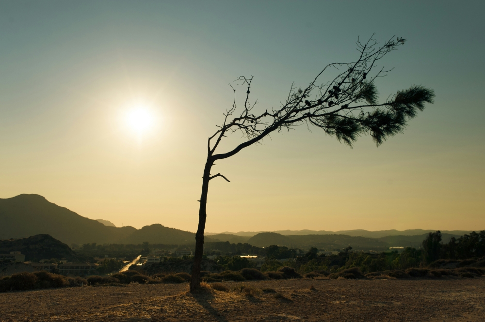 Nations must agree a new target to fund climate action in a year likely to be the hottest in human history that has already witnessed a barrage of devastating floods, heatwaves and storms around the world. — Picture from Unsplash/ElimendeInagella