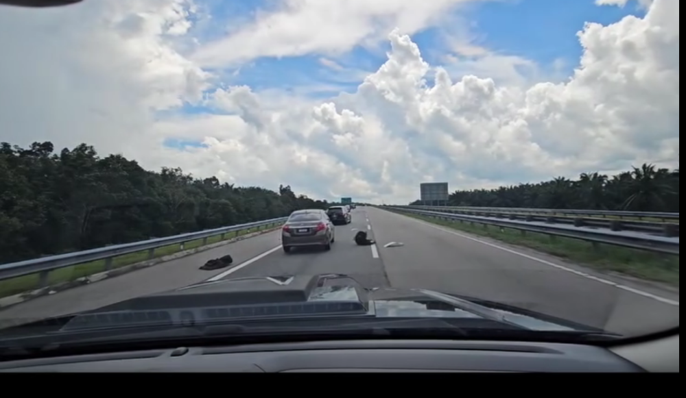 A screen capture shows vehicles avoiding a bear rolling around on the East Coast Expressway.