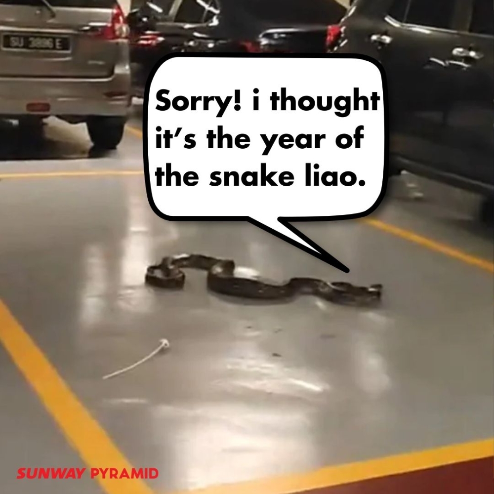 Sunway Pyramid's social media account reassured mallgoers the snake had been dealt with appropriately. — Picture via Facebook/Sunway Pyramid