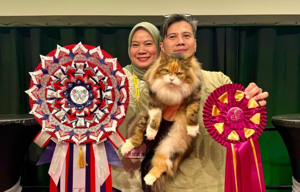 Baby with her owners Rooaida Mohd Darus and Shaharudin Shuid. — Facebook/RooaidaMohdDarus