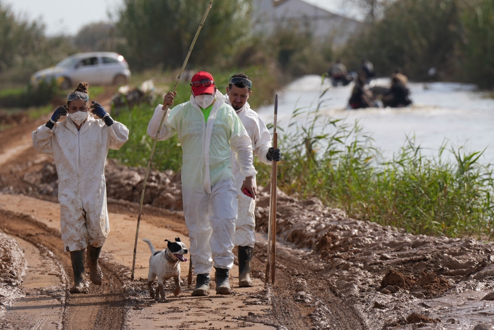 Volunteers search for victims in the Albufera national park area near Catarroja, following devastating flooding in the region of Valencia. — AFP pic