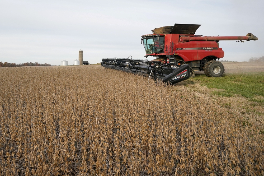 Soybeans are harvested from a field on Hodgen Farm in Roachdale, Indiana November 8, 2019. Soybeans and corn will again be ‘prime targets for tariffs’ in a potential trade dispute, according to a National Corn Growers Association and ASA report last month. — Reuters pic