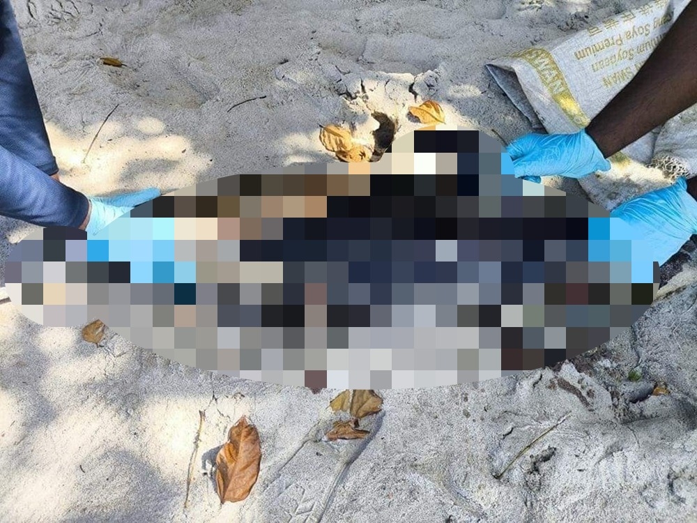 The Penang Fisheries Department has confirmed the discovery of a dolphin carcass found stranded on the shore near a hotel in Teluk Bahang last Thursday. — Picture via Facebook/Penang Press