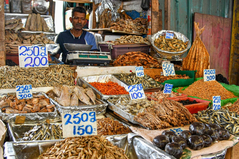 In this photograph taken on November 8, 2024 a vendor selling dried fishes waits for customers at a market in Colombo. — AFP pic