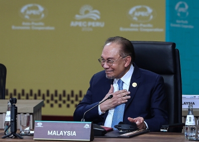 Apec must lead the way: PM Anwar calls for bold, resilient action to tackle economic and climate disruptions