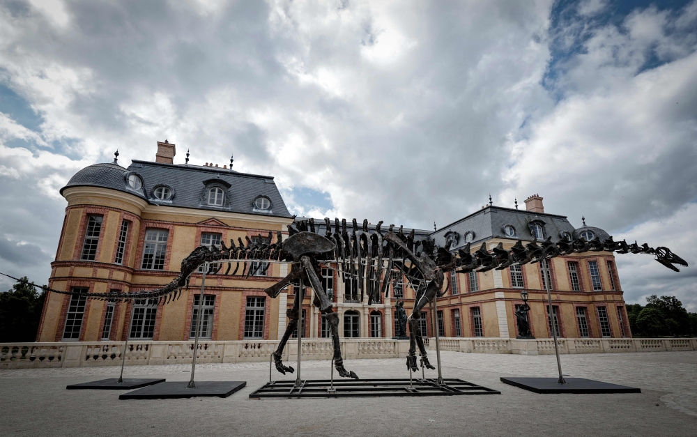 More than 20 meters long and composed of 75 to 80 per cent of the original bones, the imposing specimen is the largest dinosaur ever auctioned. — AFP pic