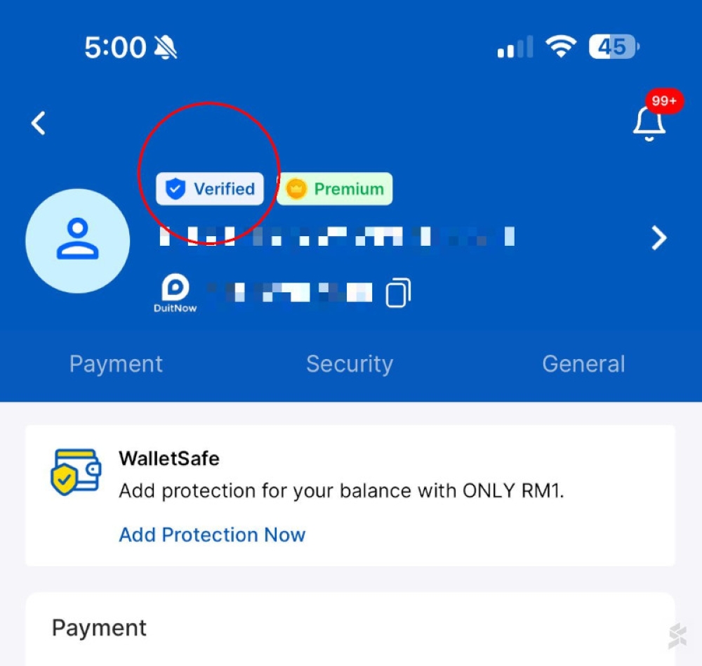 If the Verified Badge with the blue shield is shown, your TNG eWallet account has been verified and you can continue to enjoy the full features on and after December 20, 2024. –– SoyaCincau pic