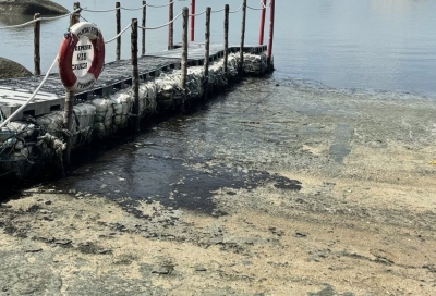 Reclamation works caused muddy conditions at Permatang Damar Laut beach, says Penang exco