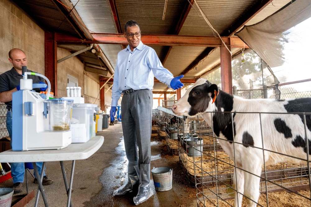 Professor Ermias Kebreab has long studied sustainable livestock practices and pushes back against calls to reduce meat consumption to save the planet. — AFP pic