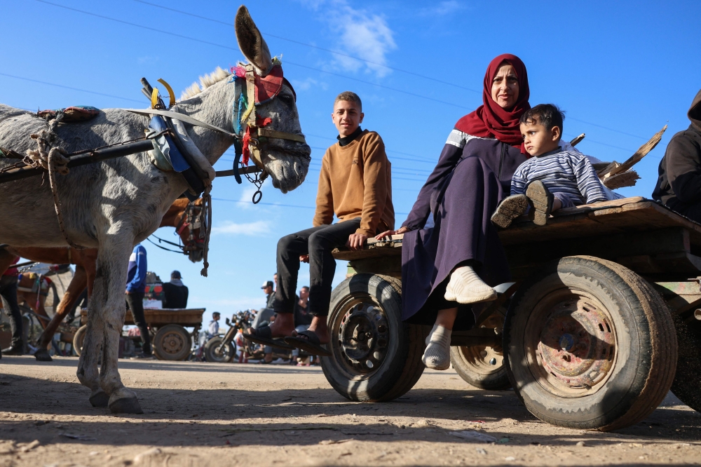 The lack of fuel and destruction in the Gaza territory since the conflict began between Israel and Hamas last year have made donkeys one of the few remaining forms of transport. — AFP pic