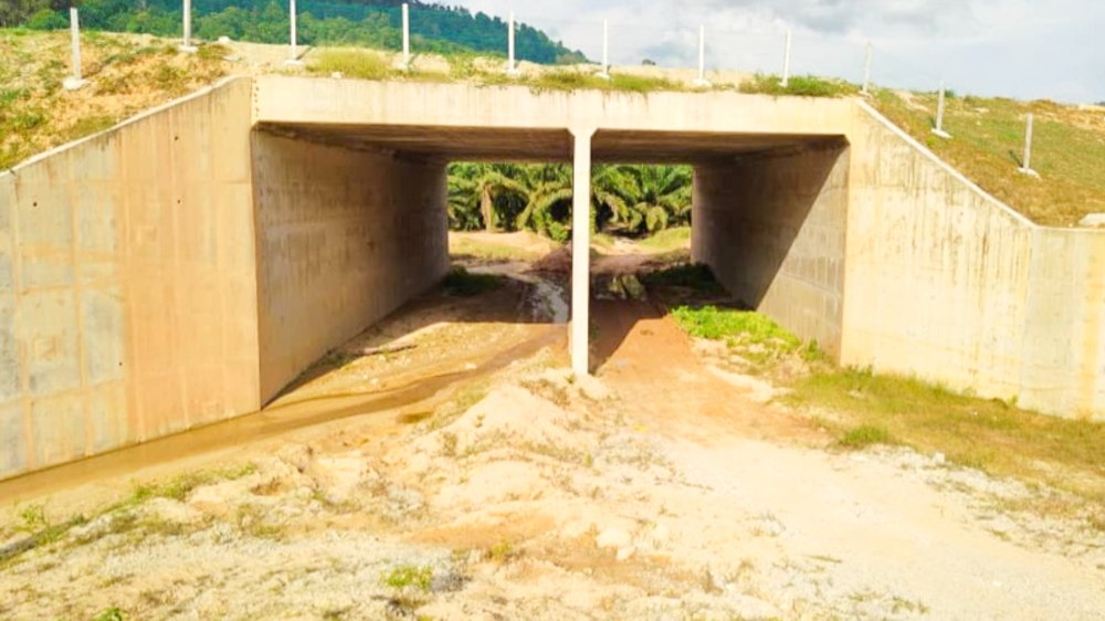 WCE has also installed PVC-coated chain-link fencing (double fencing), to prevent wild animals and livestock from entering the highway. — Picture courtesy of WCE