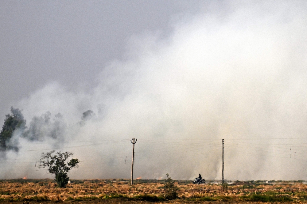 In this photograph taken on November 26, 2024, a motorist rides past smoke as farmers burn straw stubble after harvesting paddy fields on the outskirts of Panipat in India's Haryana state. — AFP pic