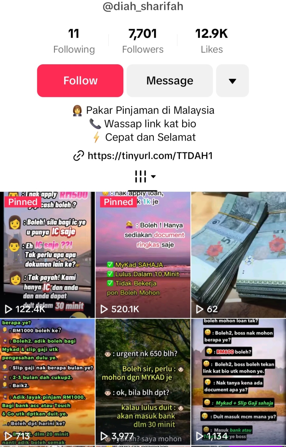 A screengrab of a TikTok account promoting illegal loan services targeting students with promises of quick cash and emergency loans. 