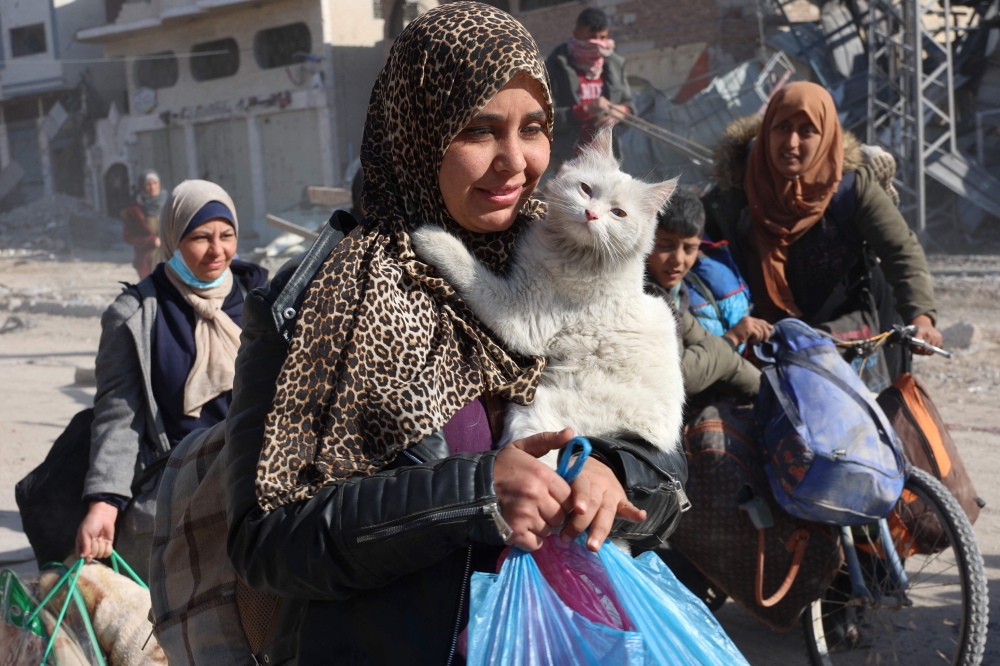 A Palestinian woman carries her cat as displaced people from Beit Lahia arrive in Jabalia in the northern Gaza Strip on December 4, 2024, amid the ongoing war between Israel and the Palestinian Hamas movement. — AFP pic