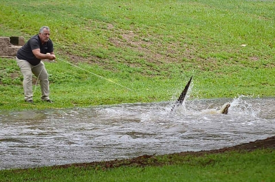 Perak Wildlife warn against triggering croc seen at Pantai Teluk Batik