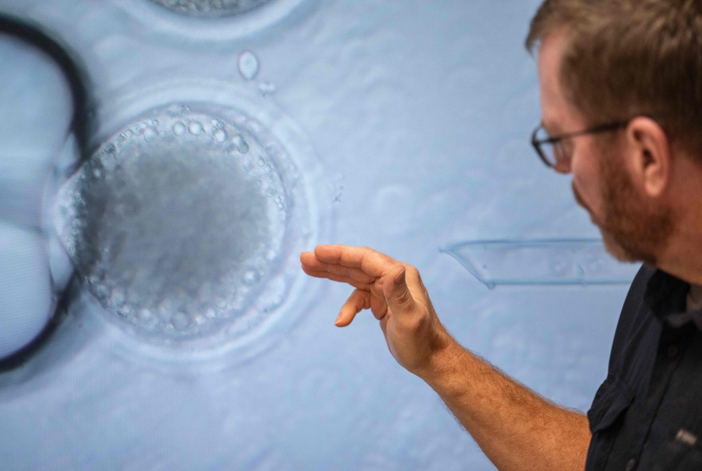 Head of Cell Biology and Nuclear Transfer, Todd Vaught, explains how DNA is removed from an oocyte before being injected with genetic modifications at the Revivicor Laboratories in Blacksburg, Virginia on November 22, 2024. — AFP pic 