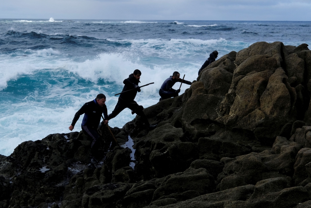 On the craggy rocks on northwestern Spain’s treacherous Costa da Morte (Death Coast), wetsuit-clad fishermen dodge crashing waves as they pick barnacles, a prized Christmas delicacy facing decline due to climate change and other factors. — Reuters pic