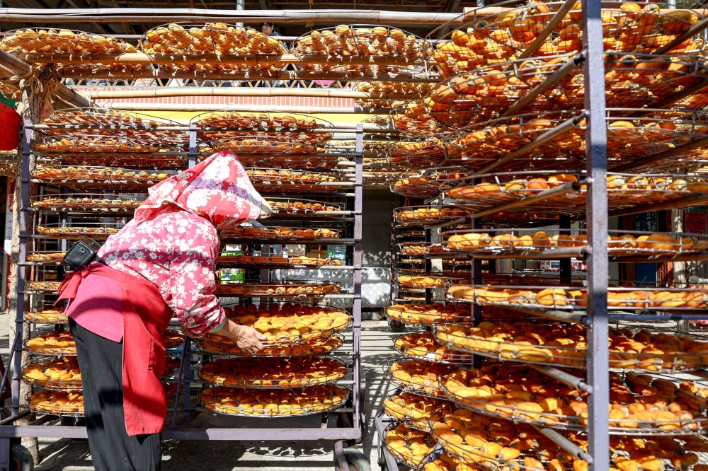 Changing weather and an ageing population are posing a threat to the century-old industry, forcing some farmers to look at alternative ways to maximise returns. — AFP pic