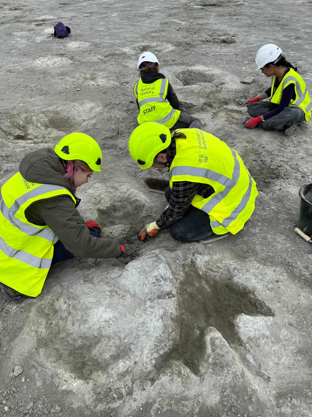 This handout photograph taken by vertebrate palaeontologist, Dr Emma Nicholls shows members of the excavation team working on the footprints at the Dewars Farm Quarry, north of Oxford in central England in June last year. — AFP pic/Emma Nicholls/Oxford University Museum Of Natural History