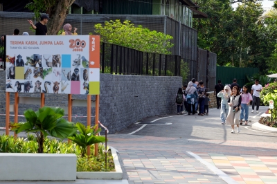 Families in Johor celebrate 2025 return to Saturday-Sunday weekend, boosting visits to Johor Zoo and more