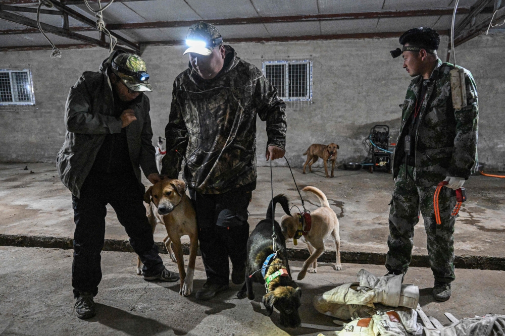 This photo taken on December 14, 2024 shows hunters taking hunting dogs out for a nighttime wild boar hunt in Weinan, in northern China's Shaanxi province. — AFP pic