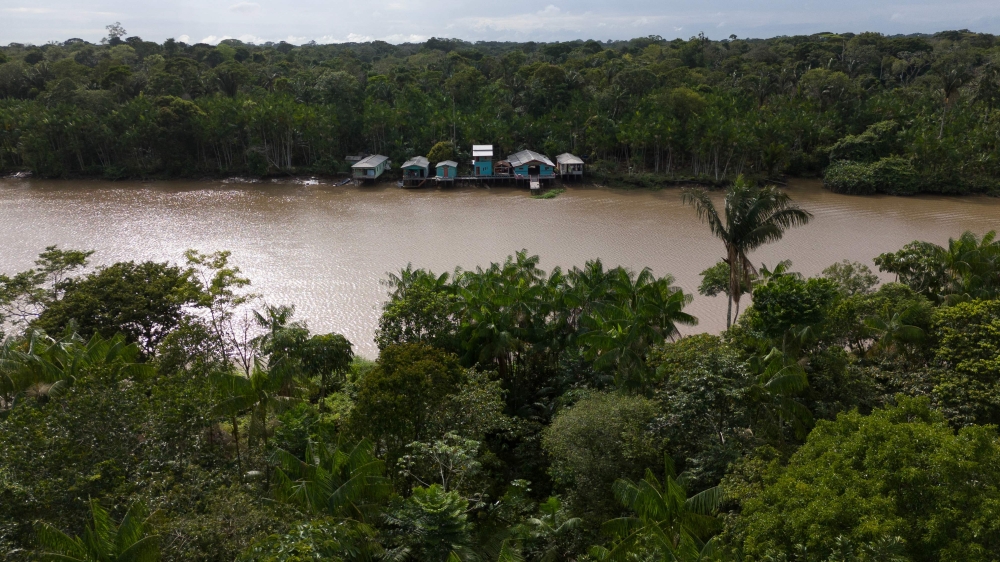 This aerial view shows a group of stilt houses on the Anajas River, home to extended families dedicated to rubber extraction, crafting, and acai fruit harvesting, in the municipality of Anajas, contained in the Marajo Archipelago Environmental Protection Area, Para state, Brazil, taken on December 6, 2024. — AFP pic