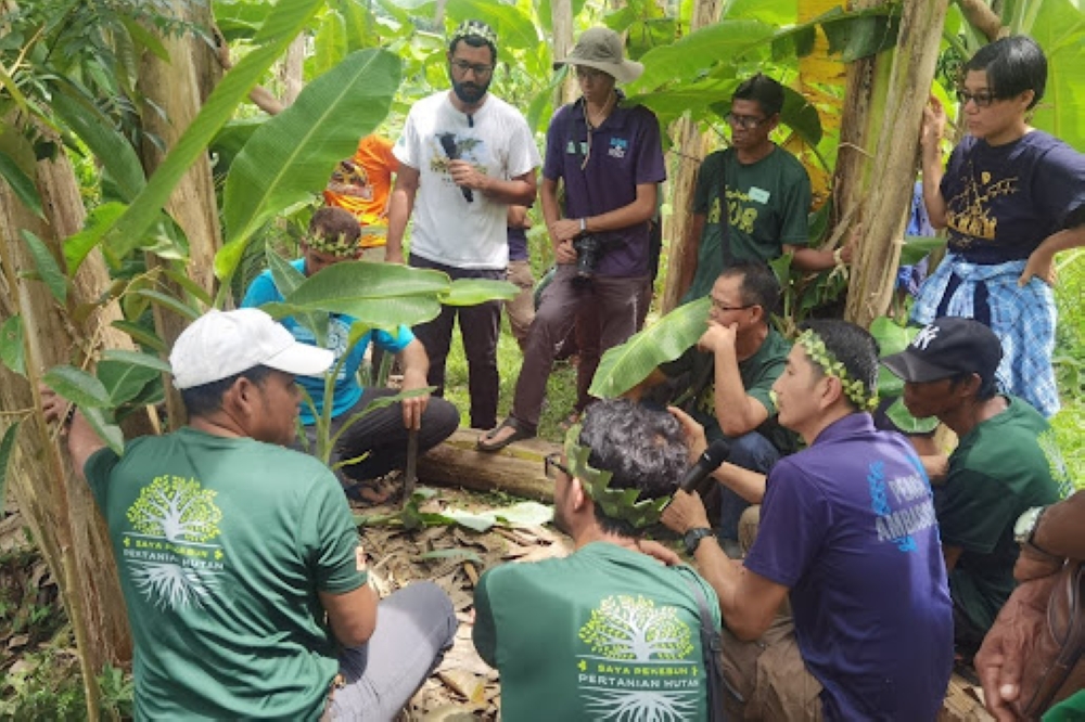 Orang Asli farmers learn banana tree pruning from Namaste (in blue shirt), a renowned Syntropic Agroforestry expert from Brazil, at Kampung Pinang syntropic plot.