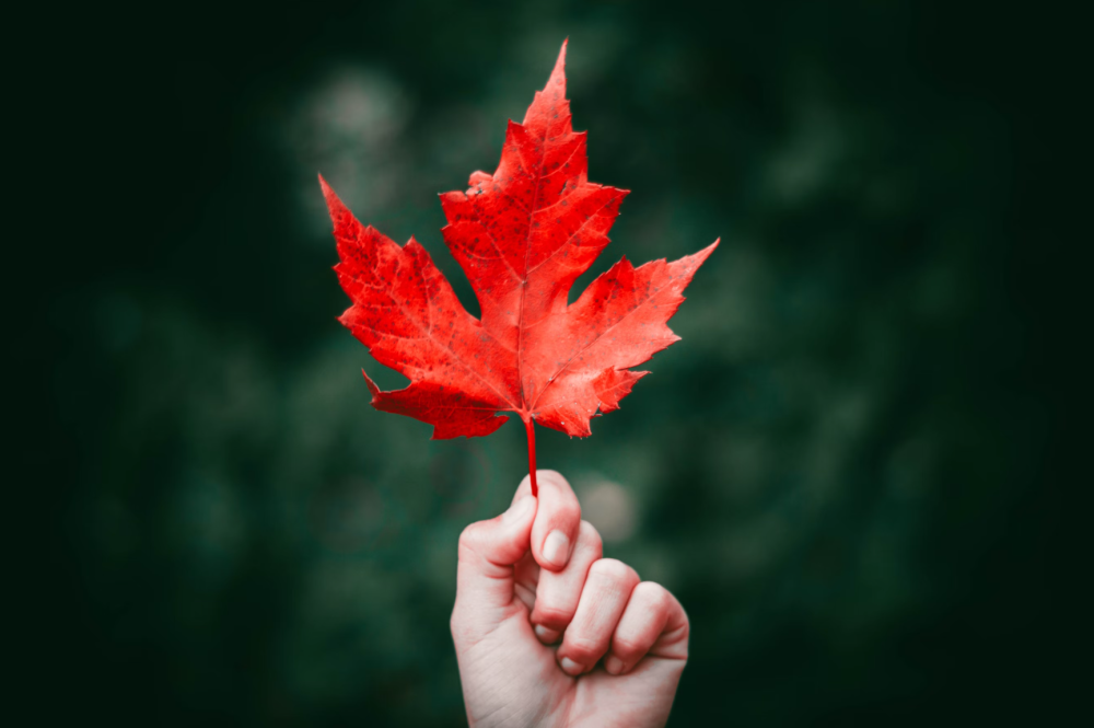 The writer says Canada would “go from apologising for being in everyone’s way to calling the shots in Washington” if it were to join the United States of America 51st state, albeit a more polite one. — Unsplash pic