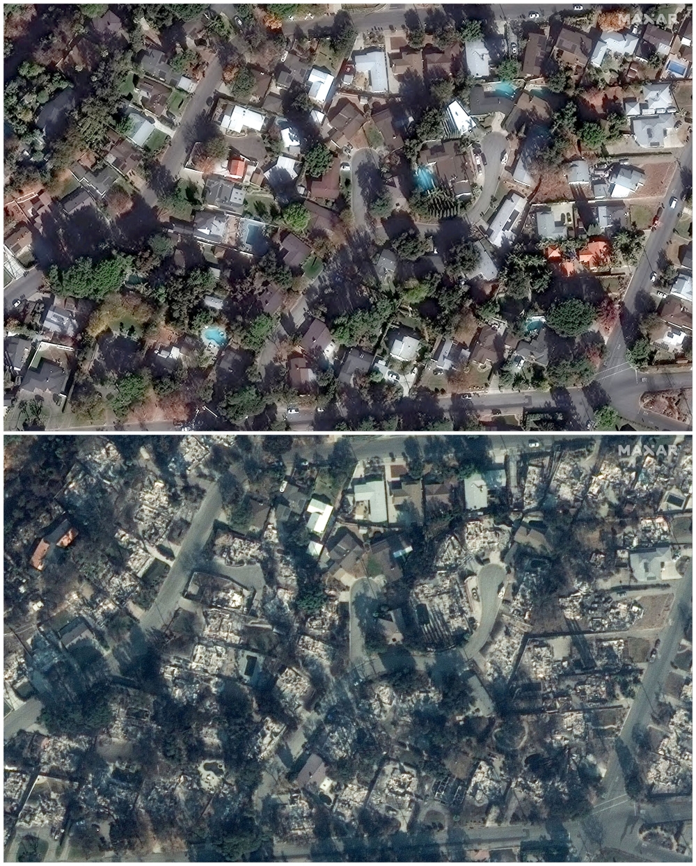 A combination picture shows satellite images of homes along W Loma Alta Drive before (above) and after (below) the fires in Altadena, California, January 6, 2025, and January 10, 2025. — Reuters pic