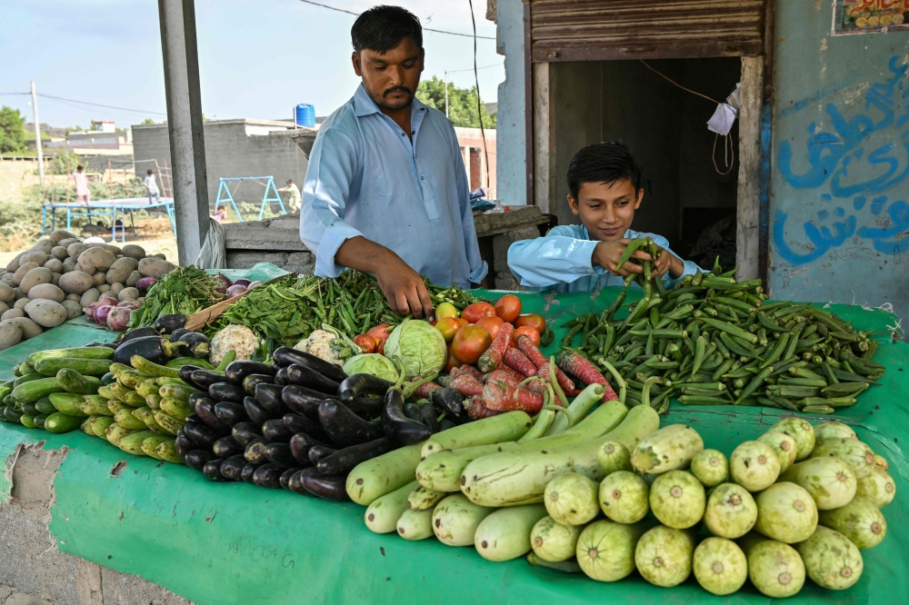 Schoolboy Taimoor Luqman helps his father run their vegetable shop after finishing school in Abdullah Goth village on the outskirts of Karachi November 13, 2024. — AFP pic