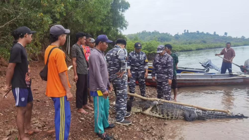 It is unknown how many crocodiles escaped as the farm has yet to report the exact figure. — Pic by  Indonesia's Taskforce for Disaster Management and Crocodile Evacuation