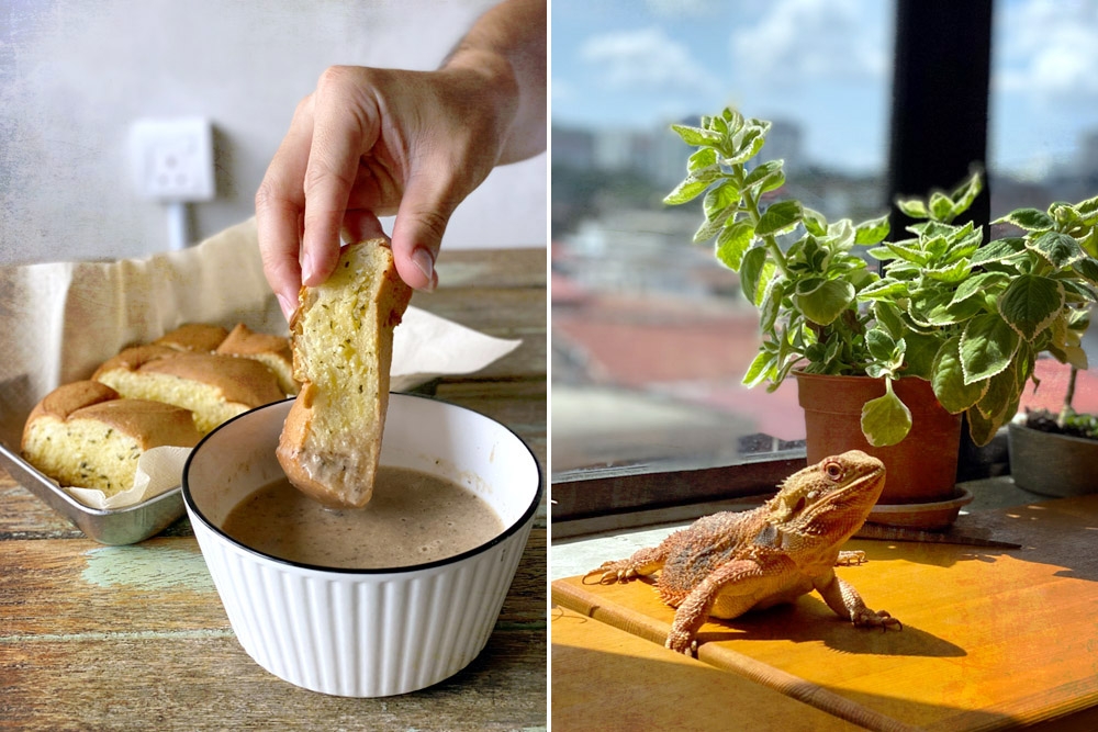 Garlic Bread and Mushroom Soup (left). Bearded Dragon (right) — Picture by CK Lim