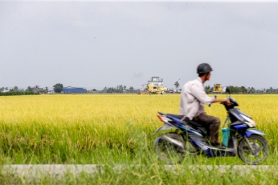 Govt to replicate Sekinchan’s high-yield rice model in northern states, says PM Anwar