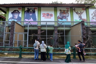 Official: Johor zoo to launch night safari before year is out