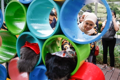 Tengku Permaisuri Selangor launches Catopia cat park in Shah Alam