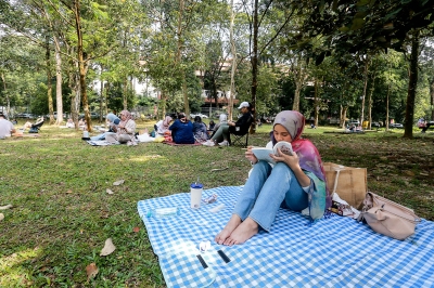 From solitude to community: How a silent reading culture is taking root in parks across the Klang Valley, one page at a time